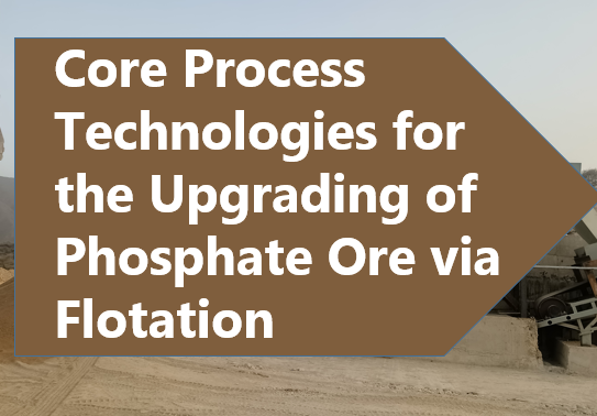 Core Process Technologies for the Upgrading of Phosphate Ore via Flotation